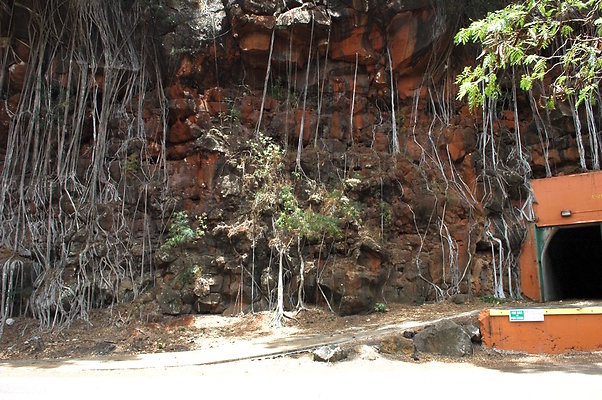 HI50 S6 DSC 5649 HI50 S6 DSC 5649