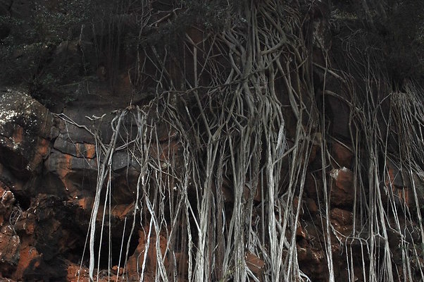 HI50 S6 DSC 5626 HI50 S6 DSC 5626