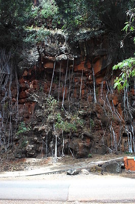 HI50 S6 DSC 5652 HI50 S6 DSC 5652