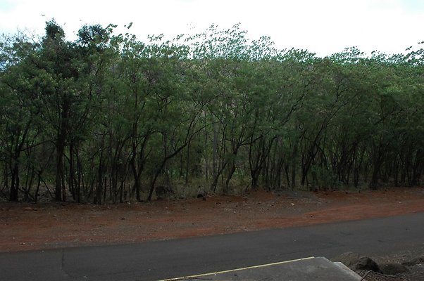 HI50 S6 DSC 5667 HI50 S6 DSC 5667