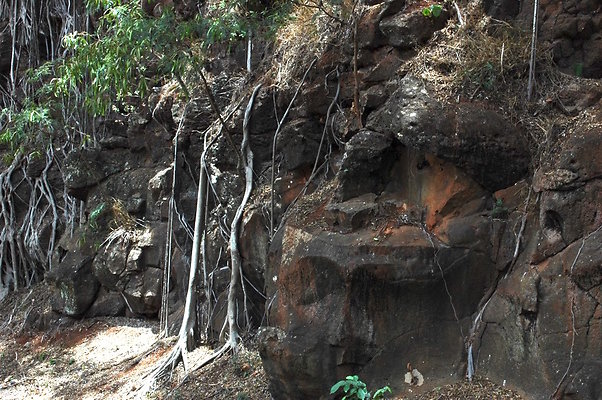 HI50 S6 DSC 5640 HI50 S6 DSC 5640