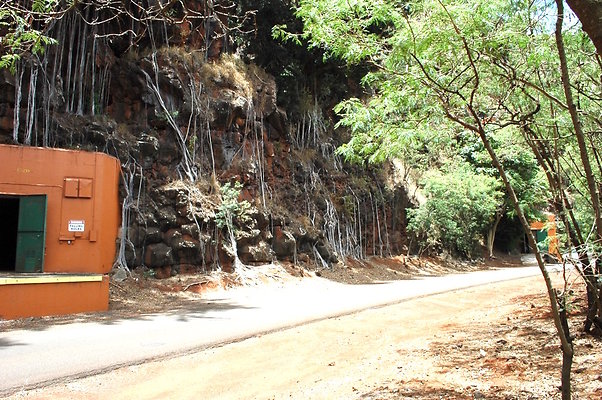 HI50 S6 DSC 5650 HI50 S6 DSC 5650