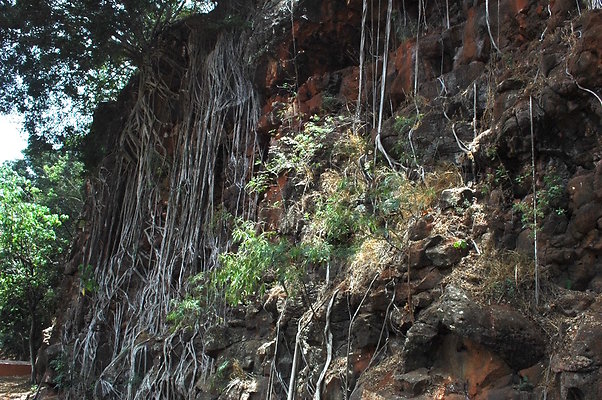 HI50 S6 DSC 5675 HI50 S6 DSC 5675