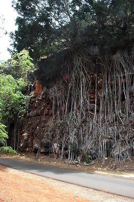 HI50 S6 DSC 5651 HI50 S6 DSC 5651