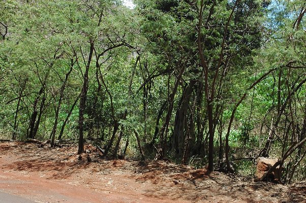 HI50 S6 DSC 5643 HI50 S6 DSC 5643