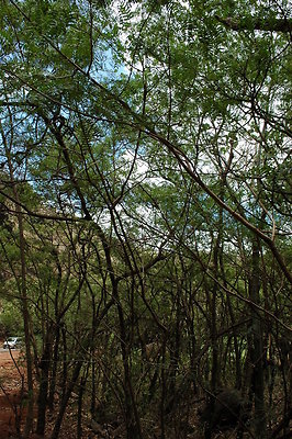 HI50 S6 DSC 5656 HI50 S6 DSC 5656