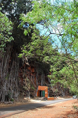 HI50 S6 DSC 5655 HI50 S6 DSC 5655