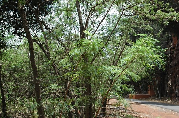 HI50 S6 DSC 5631 HI50 S6 DSC 5631