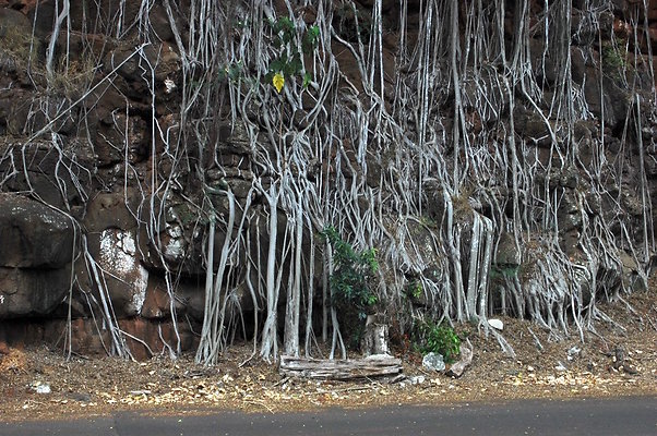 HI50 S6 DSC 5620 HI50 S6 DSC 5620