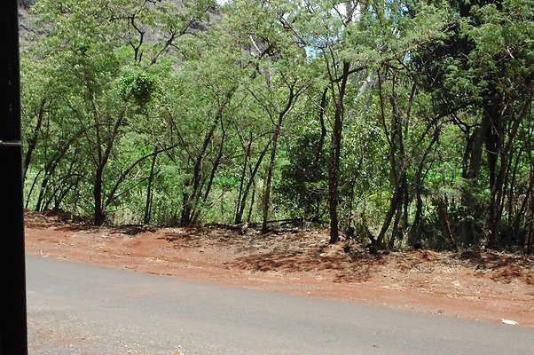 HI50 S6 DSC 5635 HI50 S6 DSC 5635