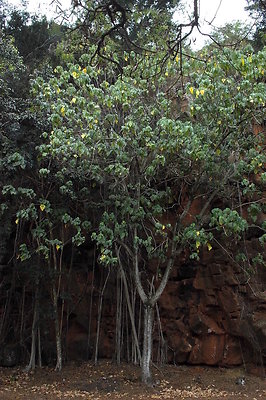 HI50 S6 DSC 5657 HI50 S6 DSC 5657