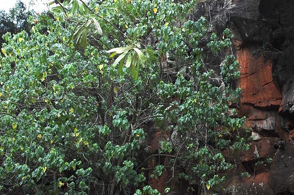 HI50 S6 DSC 5625 HI50 S6 DSC 5625