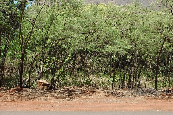 HI50 S6 DSC 5636 HI50 S6 DSC 5636