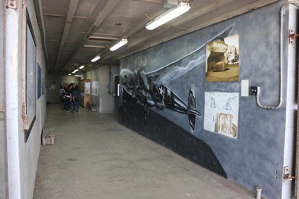 th IMG 7874 th IMG 7874