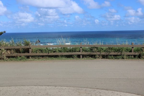 th IMG 7873 th IMG 7873