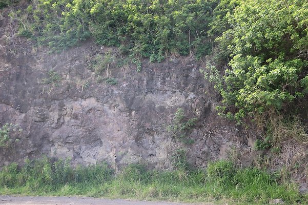 th IMG 7892 th IMG 7892