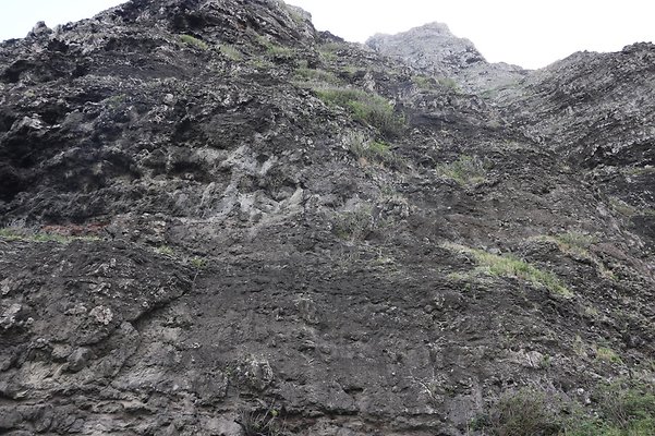 th IMG 7909 th IMG 7909