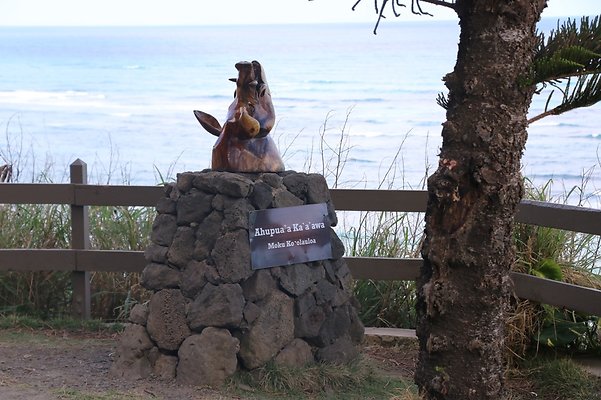 th IMG 7921 th IMG 7921