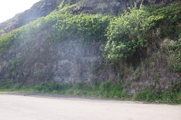 th IMG 7890 th IMG 7890