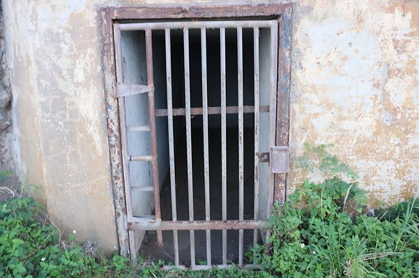 th IMG 7920 th IMG 7920