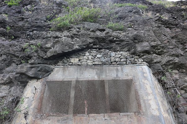 th IMG 7919 th IMG 7919