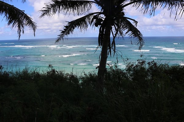 th IMG 7914 th IMG 7914