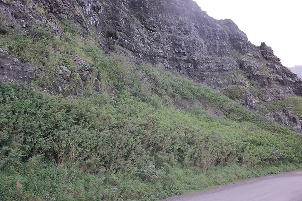 th IMG 7908 th IMG 7908