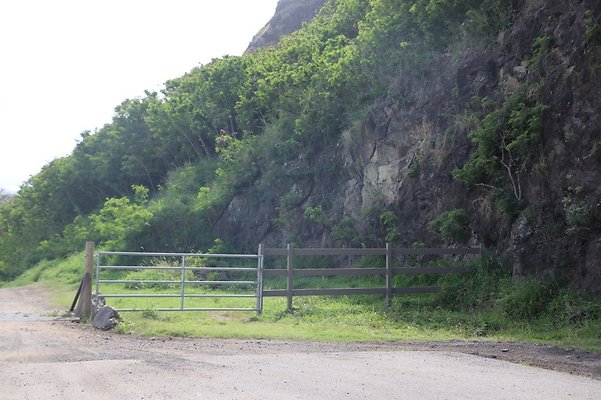 th IMG 7891 th IMG 7891