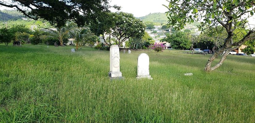 th 20181111 162712 th 20181111 162712