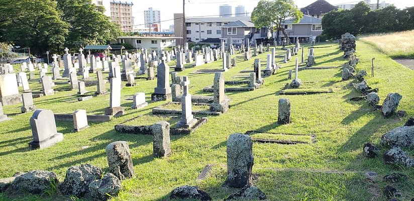 th 20181111 163539 th 20181111 163539