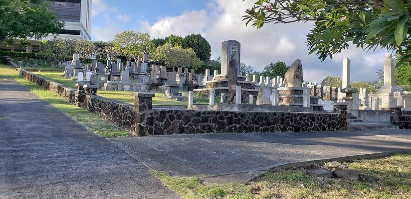 th 20181111 163109 th 20181111 163109