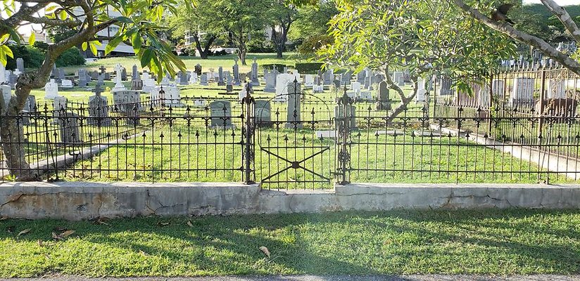 th 20181111 163946 th 20181111 163946