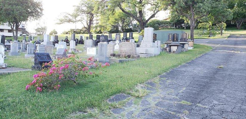 th 20181111 163033 th 20181111 163033