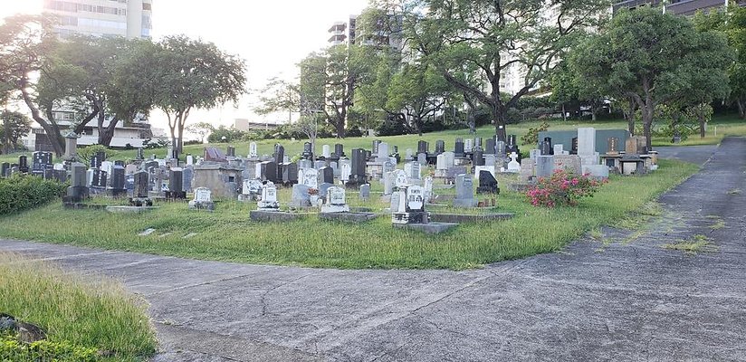 th 20181111 162743 th 20181111 162743