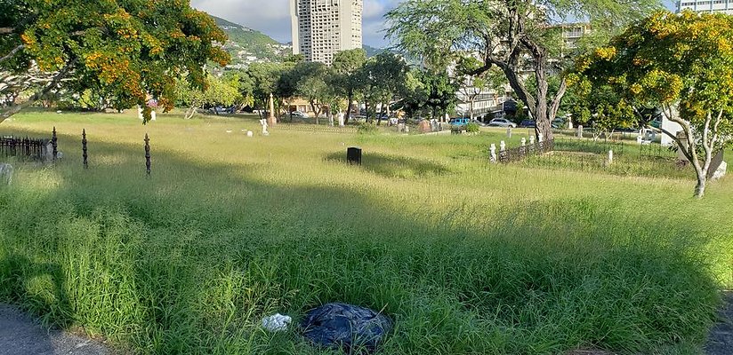 th 20181111 163510 th 20181111 163510