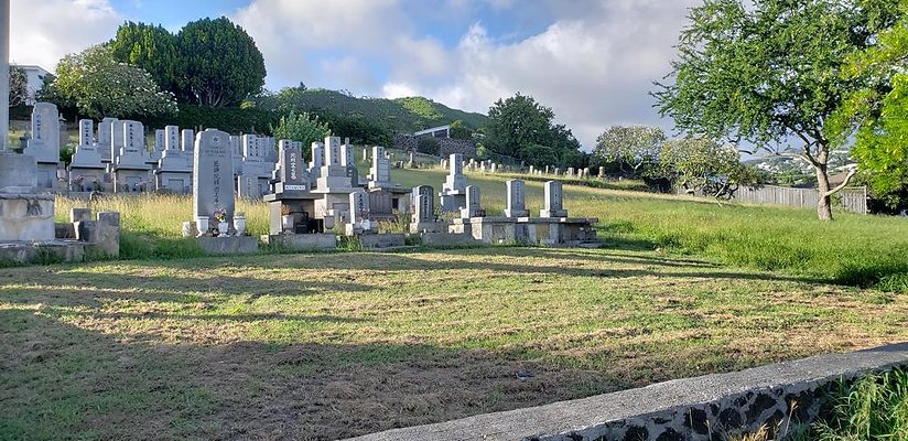 th 20181111 163242 th 20181111 163242