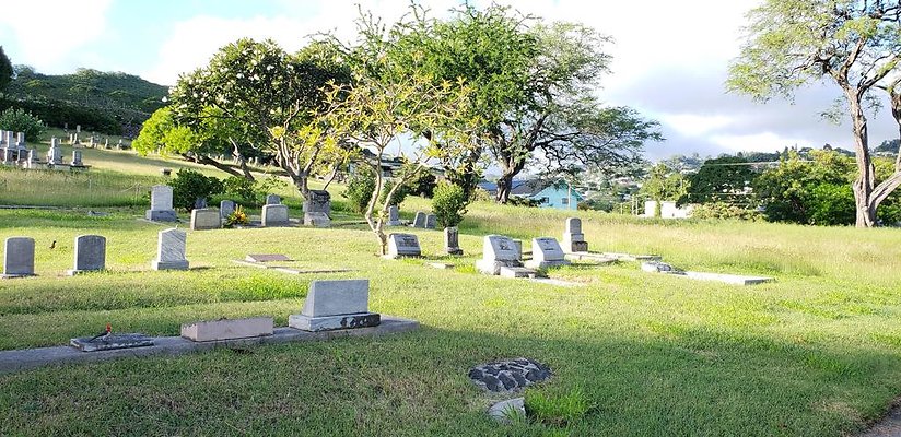 th 20181111 162901 th 20181111 162901