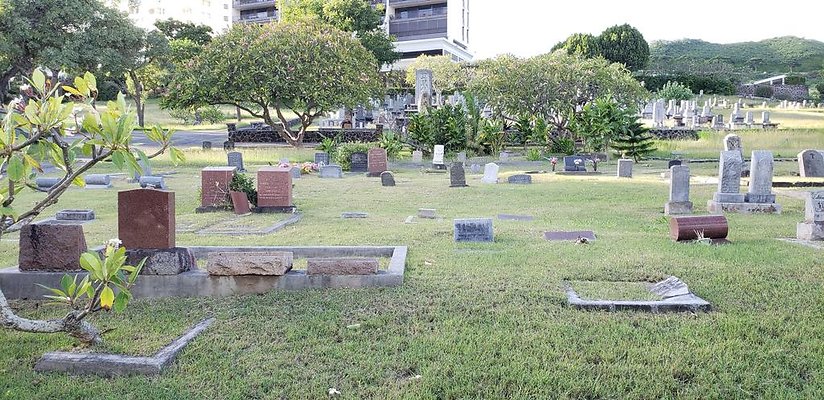 th 20181111 162841 th 20181111 162841