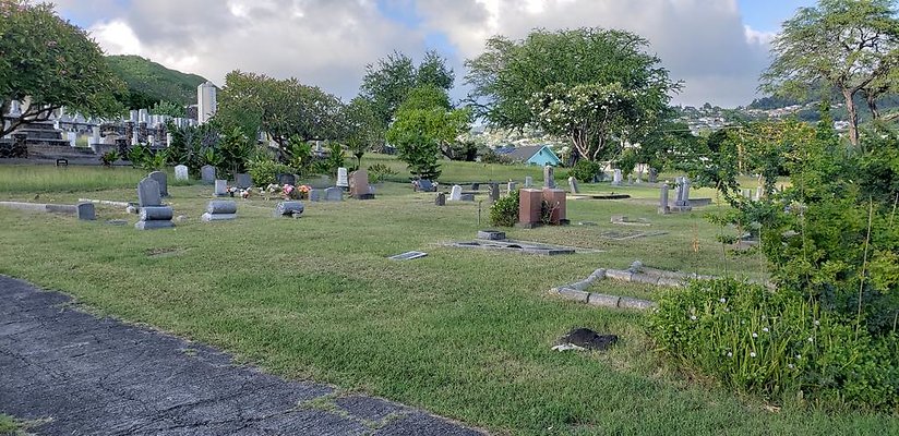 th 20181111 162807 th 20181111 162807