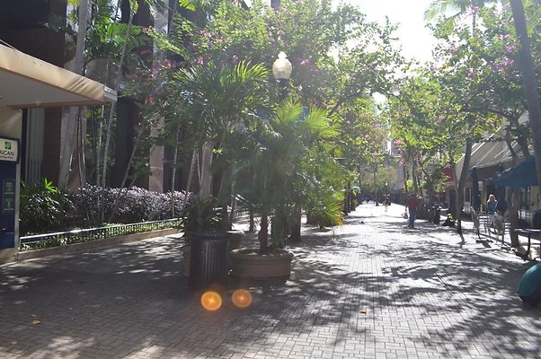 th DSC 0834 th DSC 0834