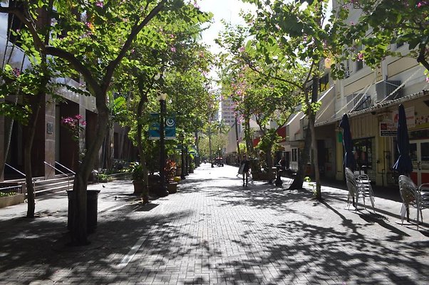 th DSC 0835 th DSC 0835