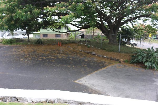 th IMG 1032 th IMG 1032