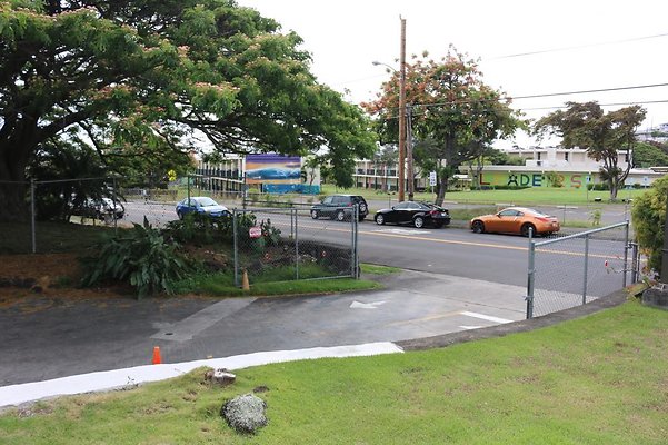 th IMG 1036 th IMG 1036