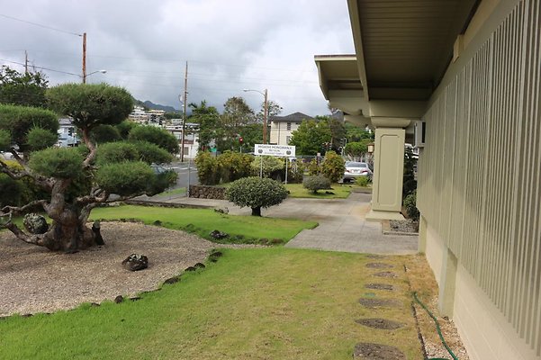 th IMG 1035 th IMG 1035