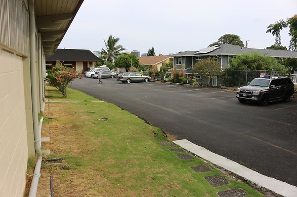 th IMG 1031 th IMG 1031