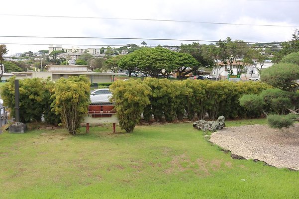 th IMG 1034 th IMG 1034