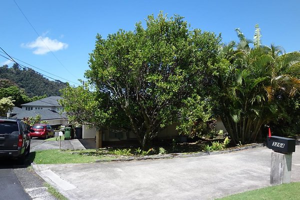 Nuuanu Bahai Faith 2165 10th Ave Pat 808.595.3314 Nuuanu Bahai Faith 2165 10th Ave Pat 808.595.3314