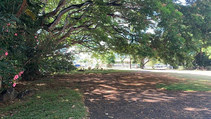 Kailua United Methodist Church 1110 Kailua Rd Office (808) 261-6238 Kailua United Methodist Church 1110 Kailua Rd Office (808) 261-6238