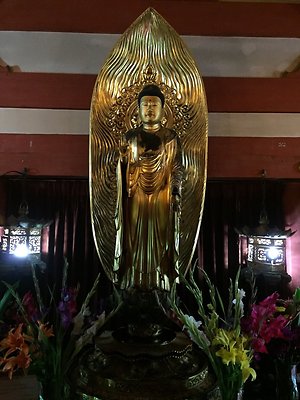 HI50 S6 2015-09-24 14.11.49