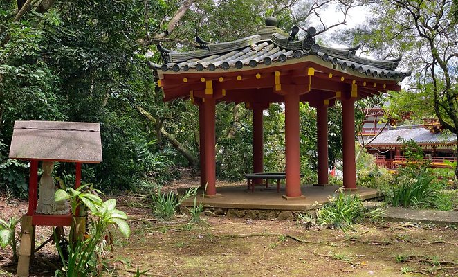 th IMG 6227 IMG 6230 th IMG 6227 IMG 6230